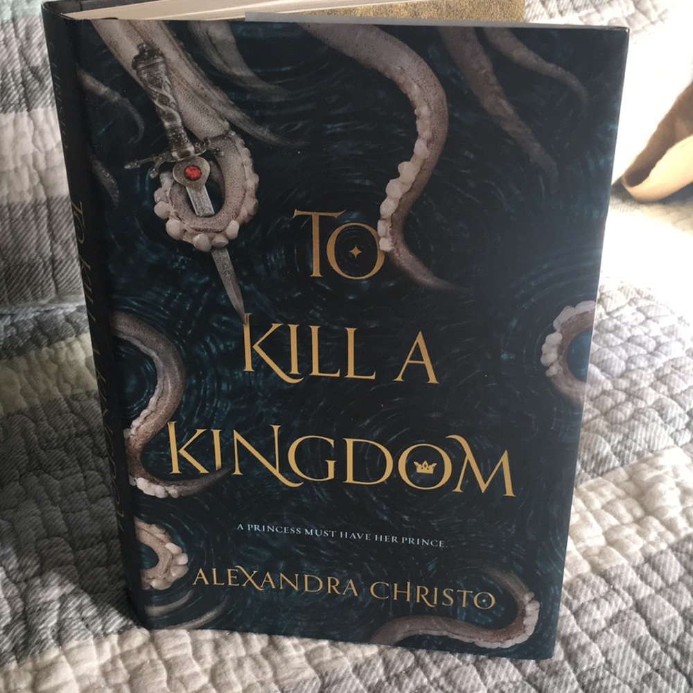 To Kill A Kingdom book
